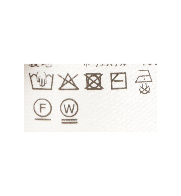 Ray BEAMS 「シアー エアリー フレア スカート」|スカート|