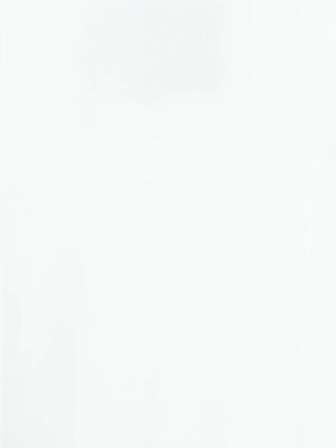 Samansa Mos2「ヴィンテージ風天竺おじさんフロッキープリントTシャツ」|Tシャツ・カットソー|