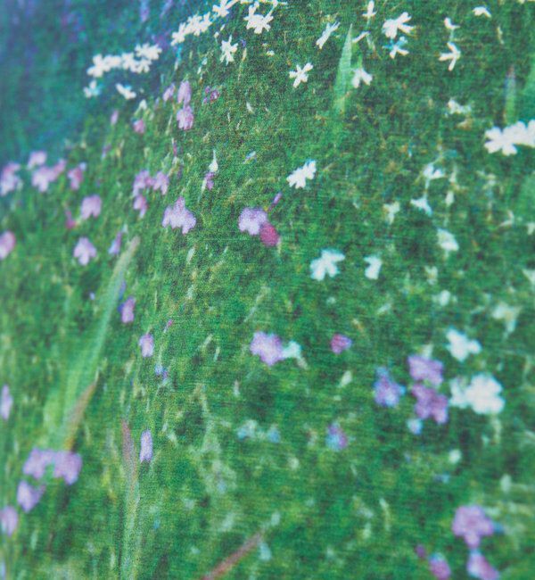  「【PEAS】フォトTee」|Tシャツ・カットソー|