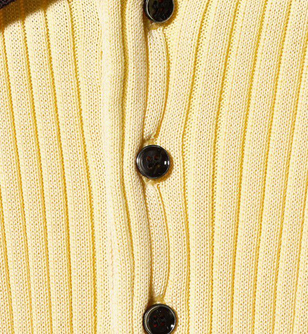 BEAUTY&YOUTH UNITED ARROWS「＜NEPLA.＞リブ ショートスリーブ ポロニット」|ニット・セーター|