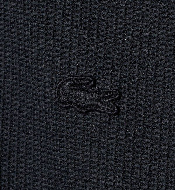 BEAUTY&YOUTH UNITED ARROWS「＜LACOSTE for BEAUTY&YOUTH＞ワントーン ポロシャツ」|ポロシャツ|