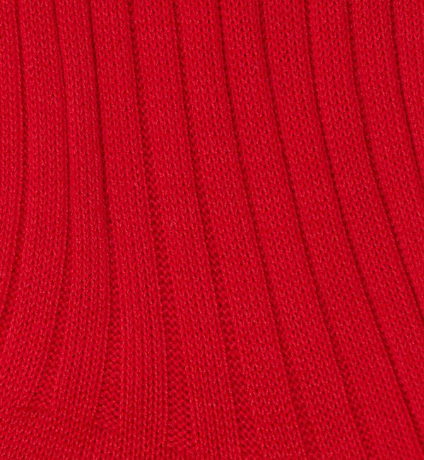 BEAUTY&YOUTH UNITED ARROWS「カラー リブ ソックス」|ソックス|