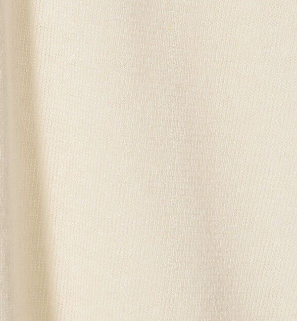 BEAUTY&YOUTH UNITED ARROWS「＜LACOSTE＞ラメニット ポロシャツ」|ポロシャツ|