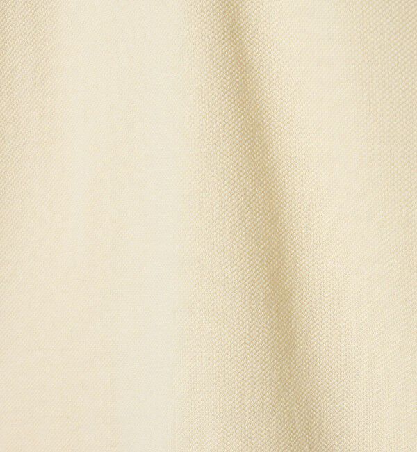 BEAUTY&YOUTH UNITED ARROWS「【別注】＜LACOSTE＞ポロシャツ」|ポロシャツ|