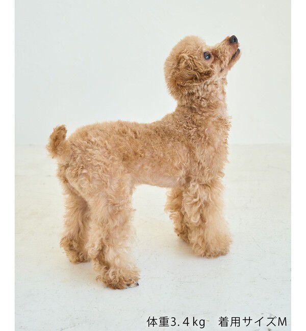 ROPE PICNIC PASSAGE「【DOG】パイピングタンクトップ」|その他|