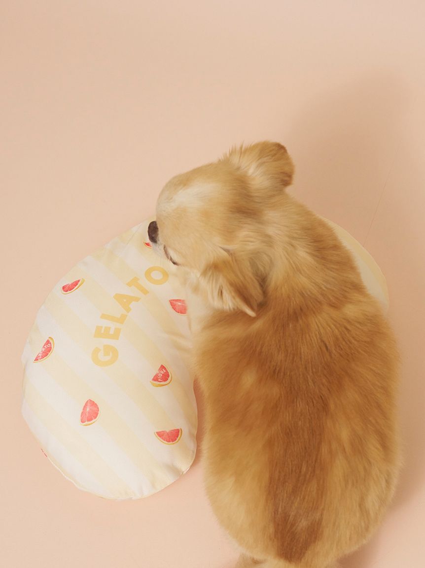  GELATO PIQUE CAT&DOG「【CAT&DOG】【接触冷感】【抗菌防臭】 Coolingピロー」|その他|