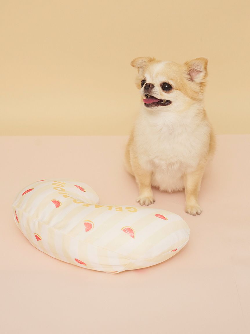  GELATO PIQUE CAT&DOG「【CAT&DOG】【接触冷感】【抗菌防臭】 Coolingピロー」|その他|