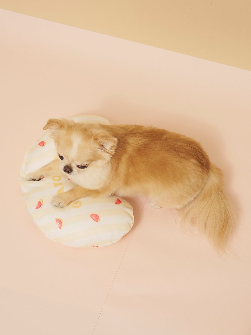  GELATO PIQUE CAT&DOG「【CAT&DOG】【接触冷感】【抗菌防臭】 Coolingピロー」|その他|