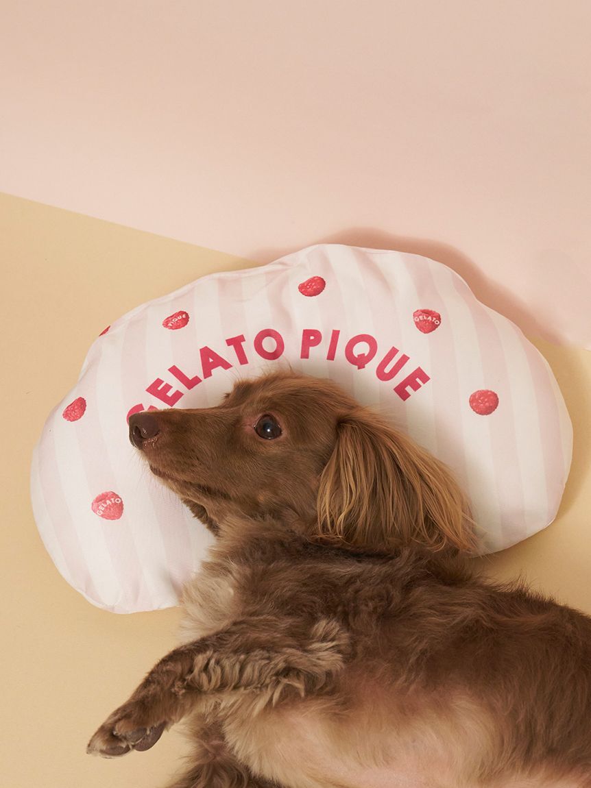 GELATO PIQUE CAT&DOG「【CAT&DOG】【接触冷感】【抗菌防臭】 Coolingピロー」|その他|PNK