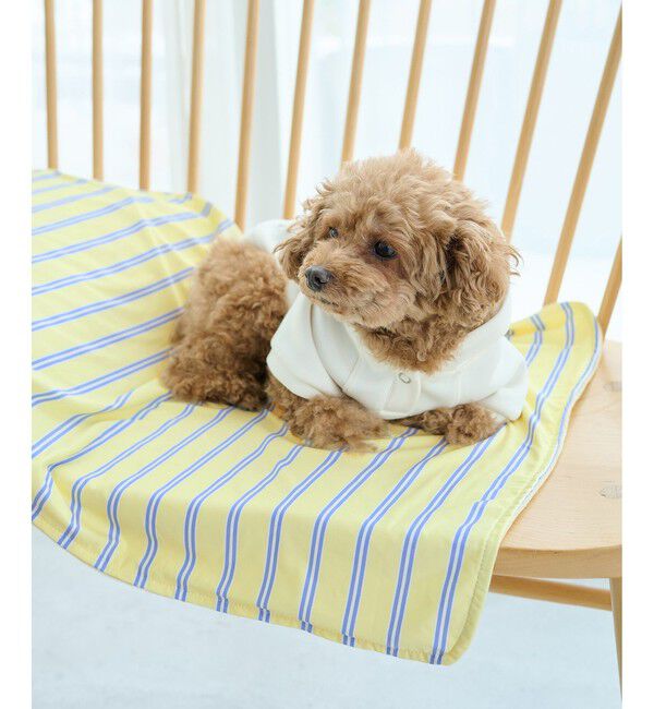 ROPE PICNIC PASSAGE「【DOG】マルチストライプひんやりブランケット」|その他|イエロー系(82)
