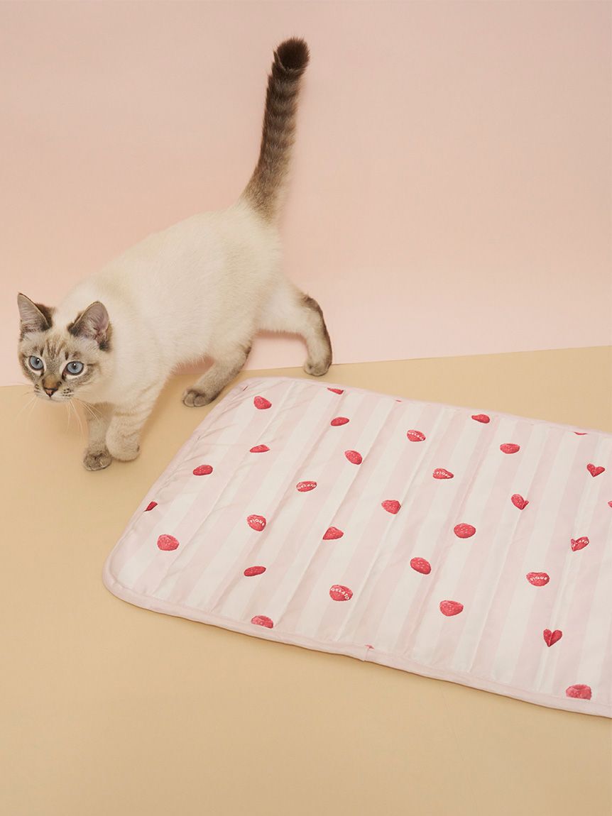  GELATO PIQUE CAT&DOG「【CAT&DOG】【接触冷感】【抗菌防臭】 Coolingマット」|その他|