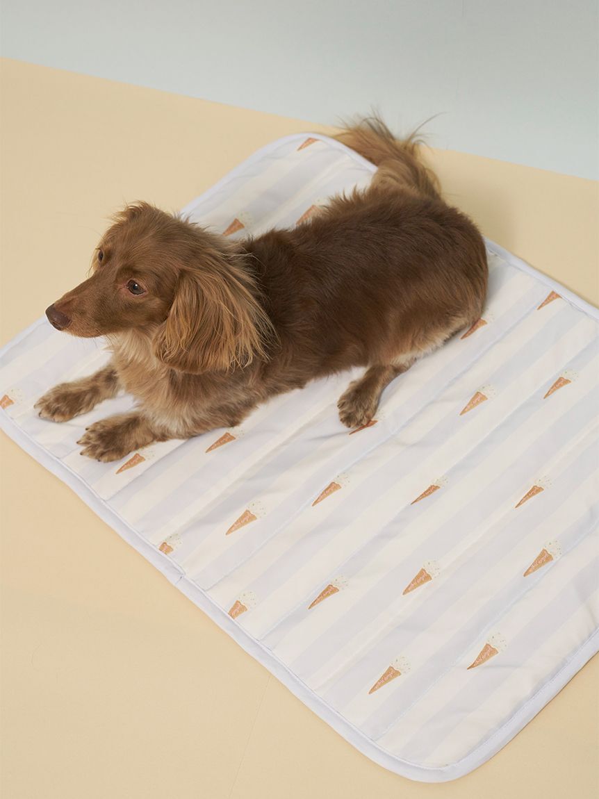  GELATO PIQUE CAT&DOG「【CAT&DOG】【接触冷感】【抗菌防臭】 Coolingマット」|その他|