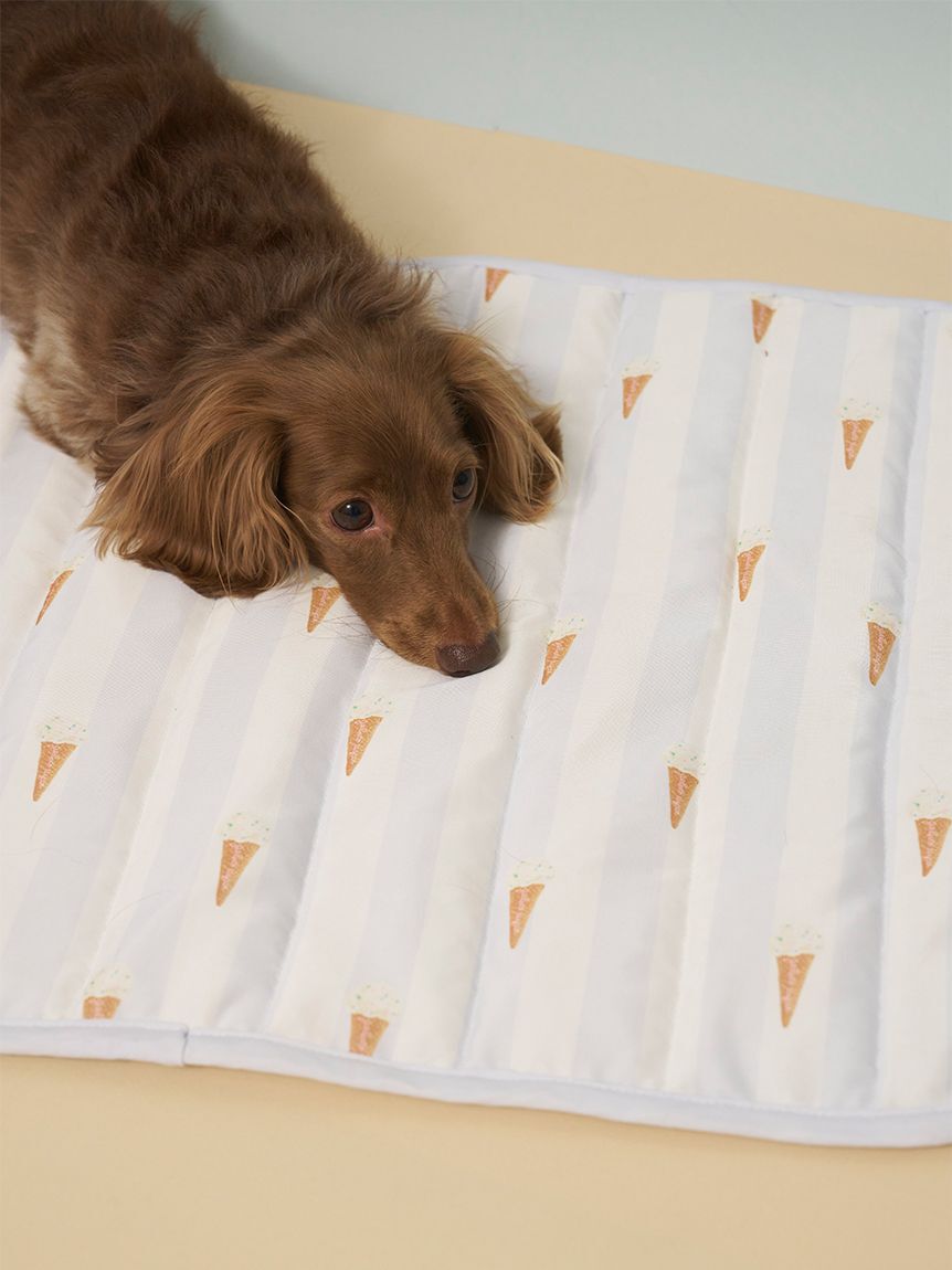  GELATO PIQUE CAT&DOG「【CAT&DOG】【接触冷感】【抗菌防臭】 Coolingマット」|その他|BLU