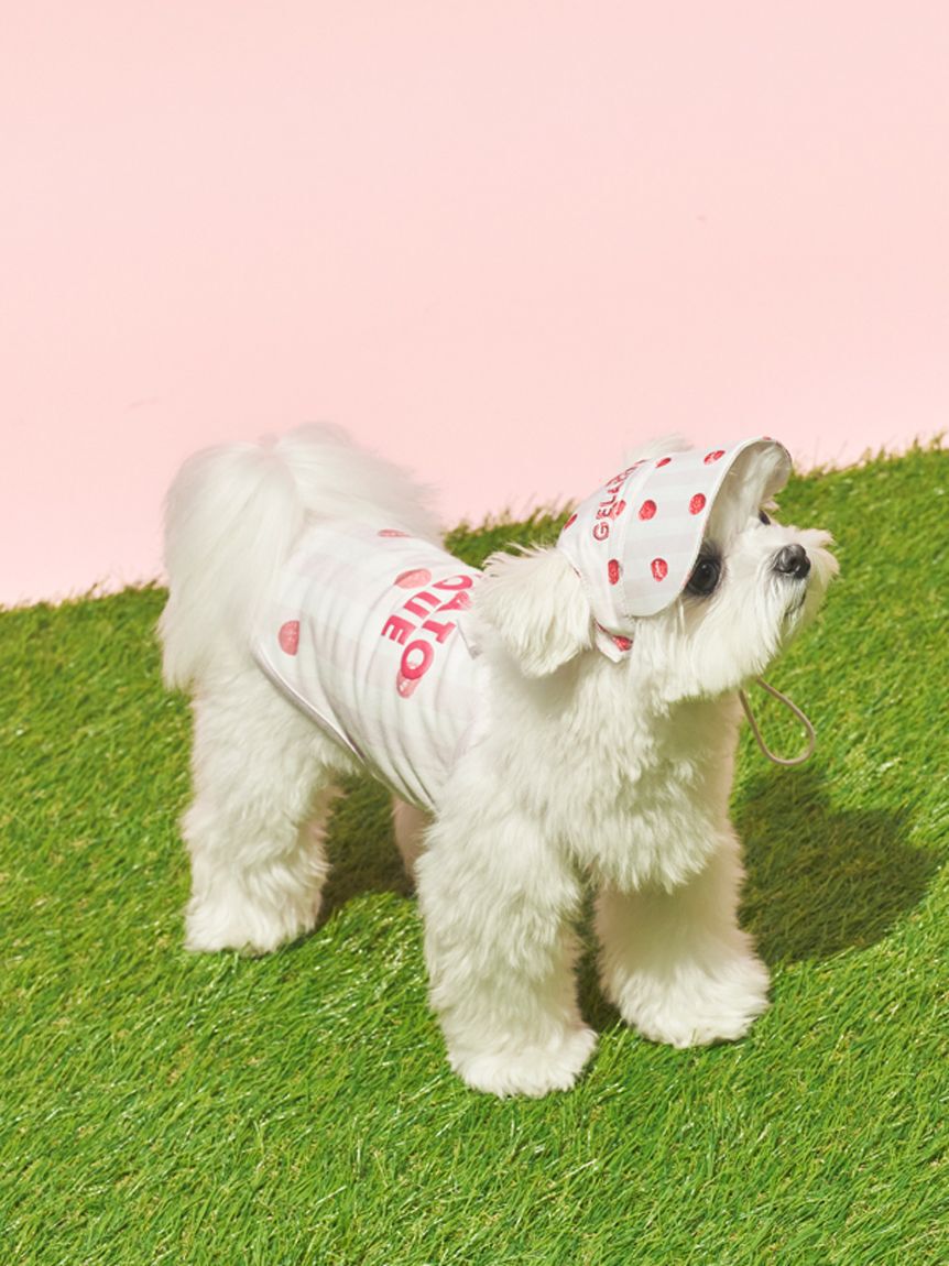  GELATO PIQUE CAT&DOG「【CAT&DOG】【接触冷感】 ストライプ柄Coolingプルオーバー」|その他|