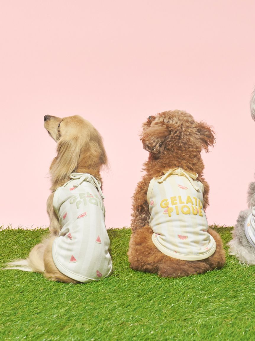 GELATO PIQUE CAT&DOG「【CAT&DOG】【接触冷感】 ストライプ柄Coolingプルオーバー」|その他|