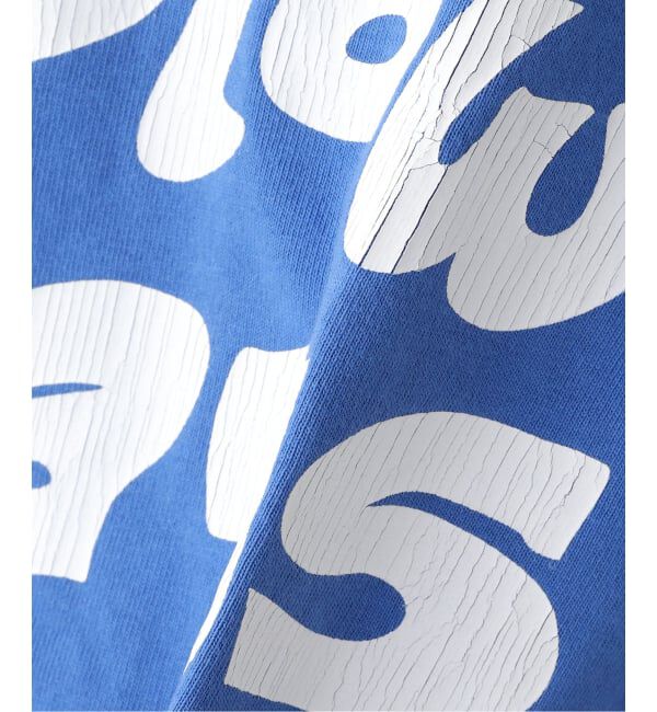 JOINT WORKS「DIASPORA SKATEBOARDS/ディアスポラスケートボード Slow Days Tee」|Tシャツ・カットソー|