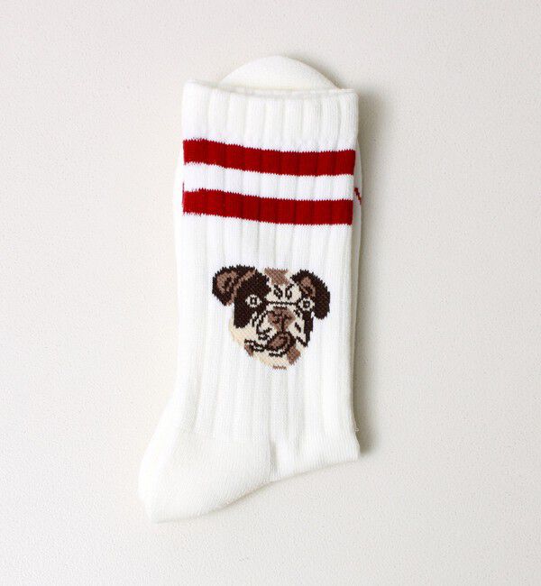 GLOSTER「【ROSTER SOX/ロスターソックス】DOG」|ソックス|ホワイト系その他