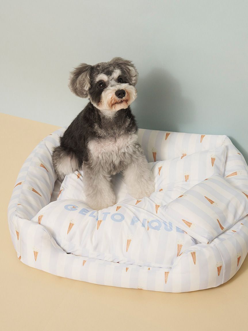  GELATO PIQUE CAT&DOG「【CAT&DOG】【接触冷感】【抗菌防臭】 CoolingベッドM」|その他|