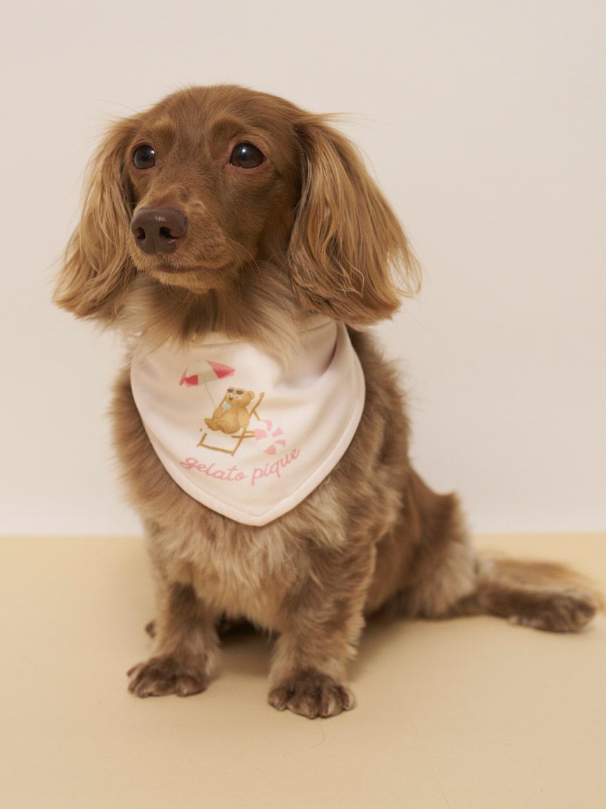  GELATO PIQUE CAT&DOG「【CAT&DOG】サマーベア柄保冷剤入れバンダナ」|その他|