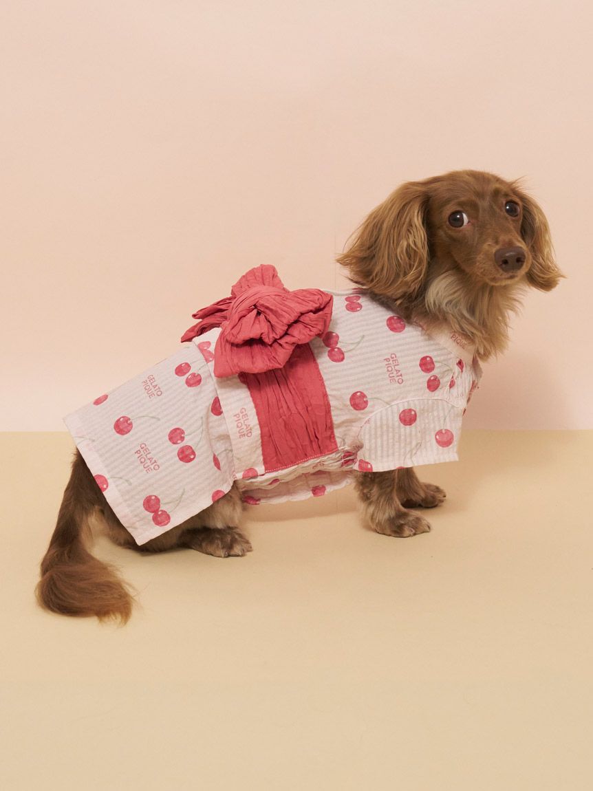  GELATO PIQUE CAT&DOG「【CAT&DOG】ダックスフンドサイズ浴衣」|その他|