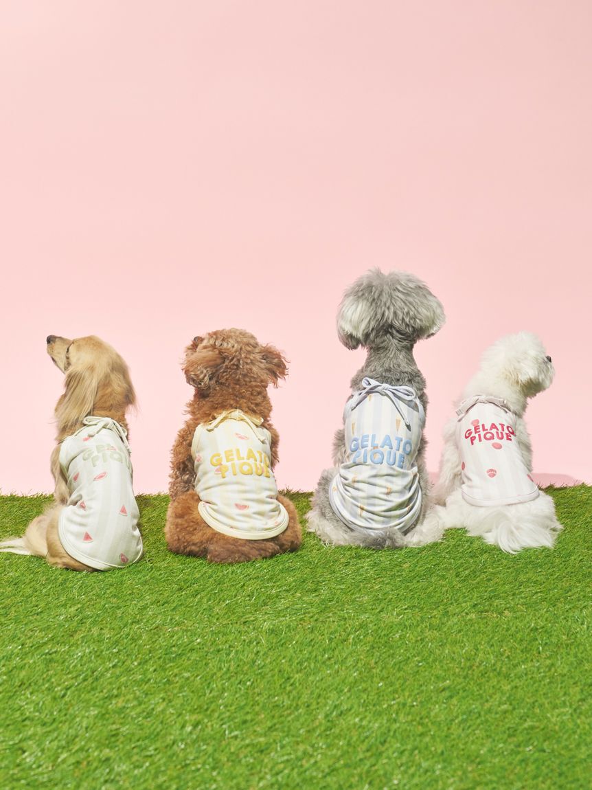  GELATO PIQUE CAT&DOG「【CAT&DOG】【接触冷感】 ストライプ柄Coolingプルオーバー」|その他|