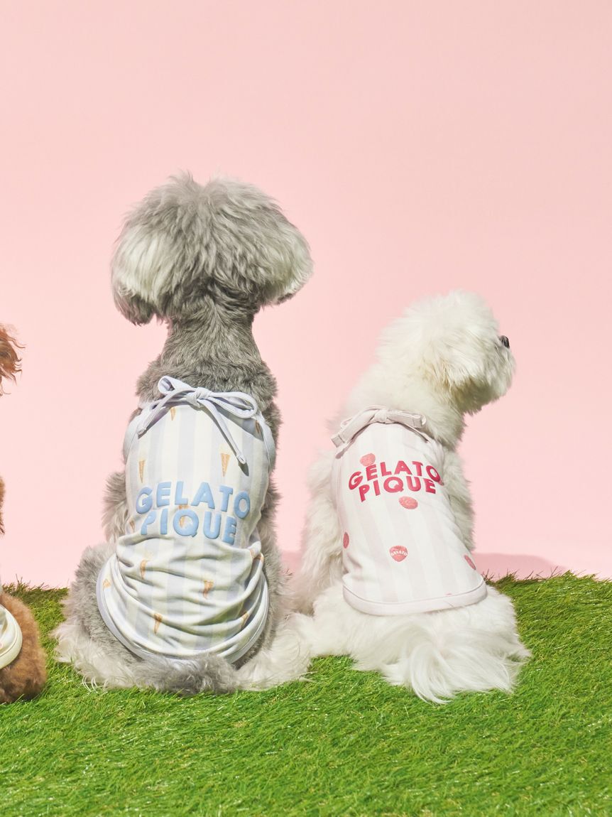  GELATO PIQUE CAT&DOG「【CAT&DOG】【接触冷感】 ストライプ柄Coolingプルオーバー」|その他|