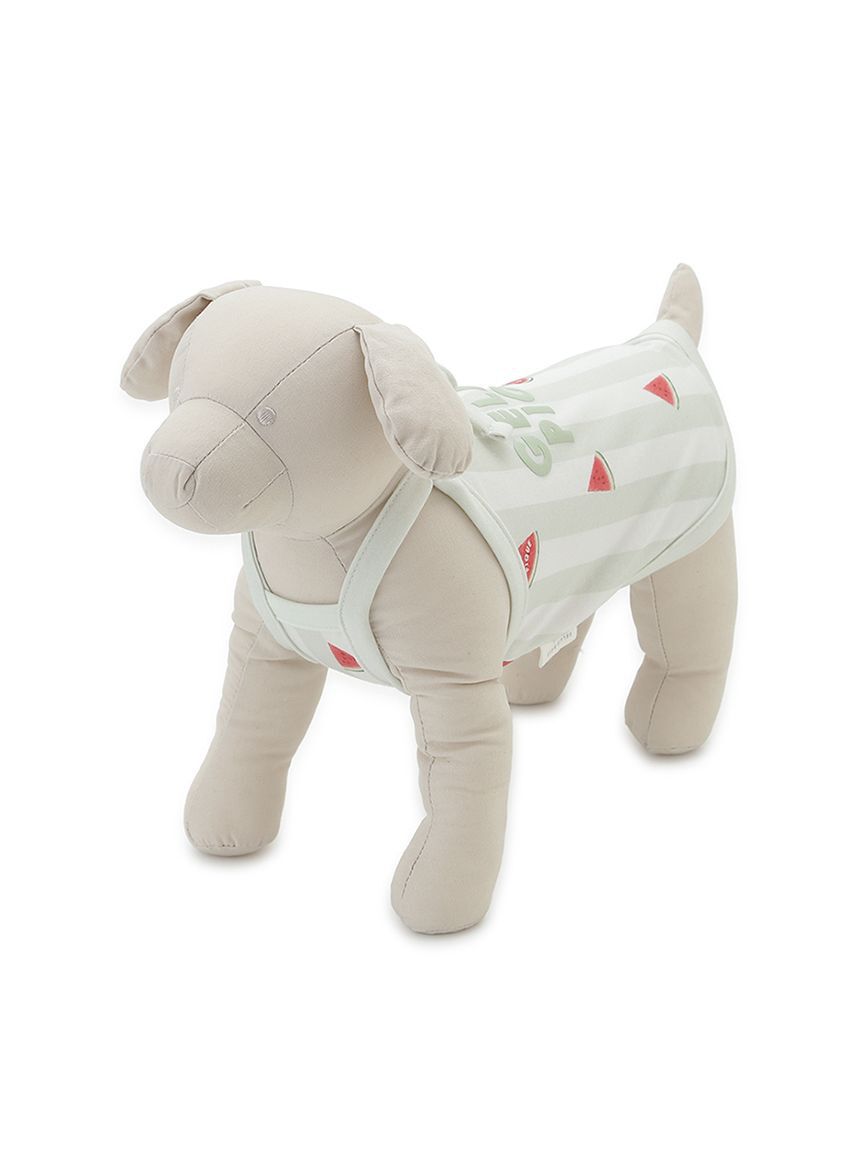  GELATO PIQUE CAT&DOG「【CAT&DOG】【接触冷感】 ストライプ柄Coolingプルオーバー」|その他|
