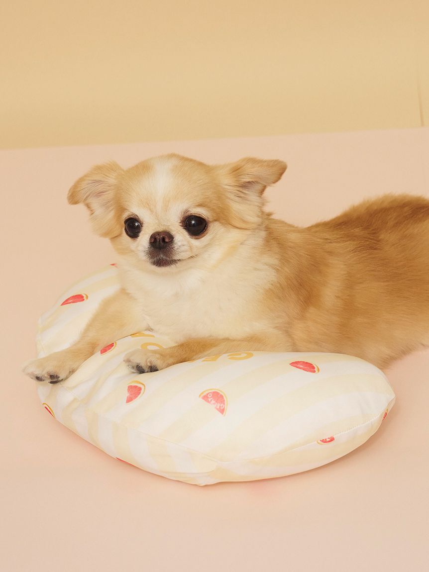  GELATO PIQUE CAT&DOG「【CAT&DOG】【接触冷感】【抗菌防臭】 Coolingピロー」|その他|