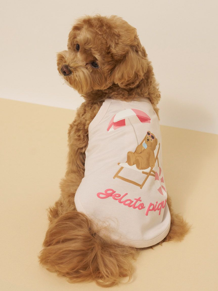  GELATO PIQUE CAT&DOG「【CAT&DOG】【接触冷感】サマーベア柄プルオーバー」|その他|