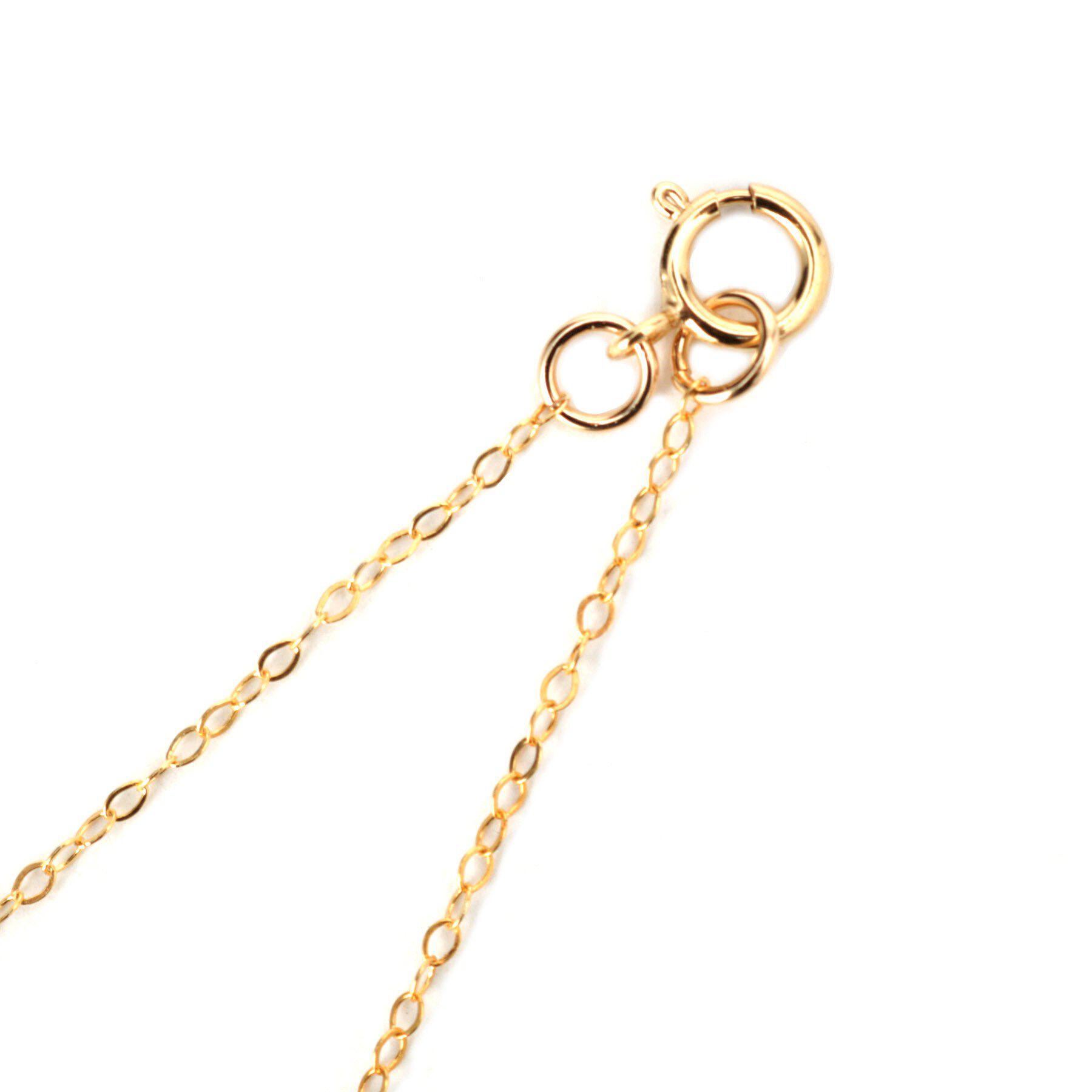 DRESSTERIOR「14K GFネックレス」|ネックレス|