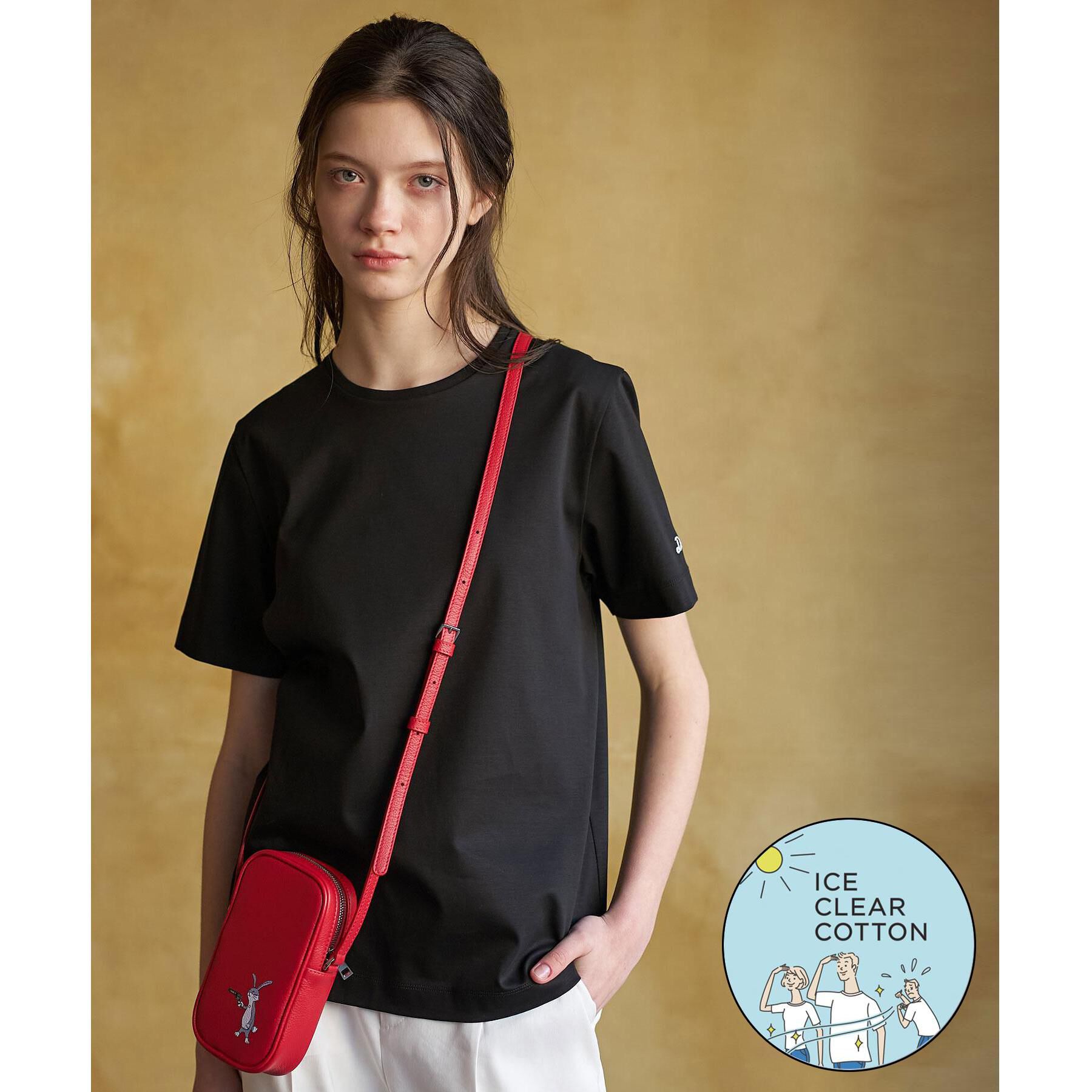 DRESSTERIOR「【接触冷感／抗菌防臭／消臭】アイスクリアコットンTシャツ」|Tシャツ・カットソー|ブラック(019)