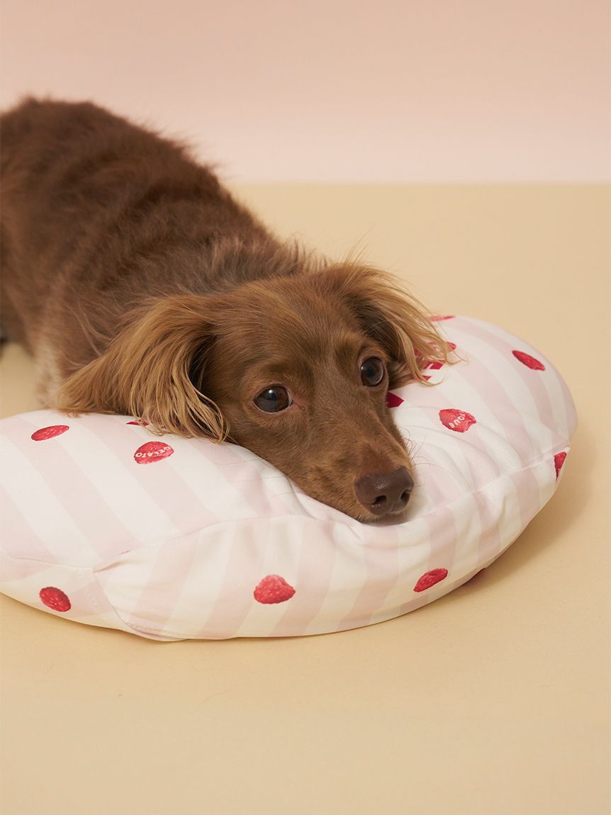  GELATO PIQUE CAT&DOG「【CAT&DOG】【接触冷感】【抗菌防臭】 Coolingピロー」|その他|