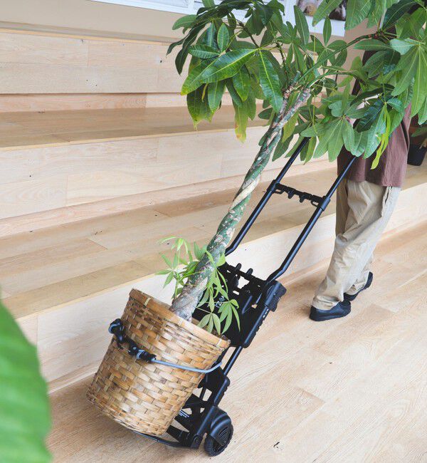 BEAMS「花岡車輌 / FLAT CART 2&times;4 BLACK」|その他|