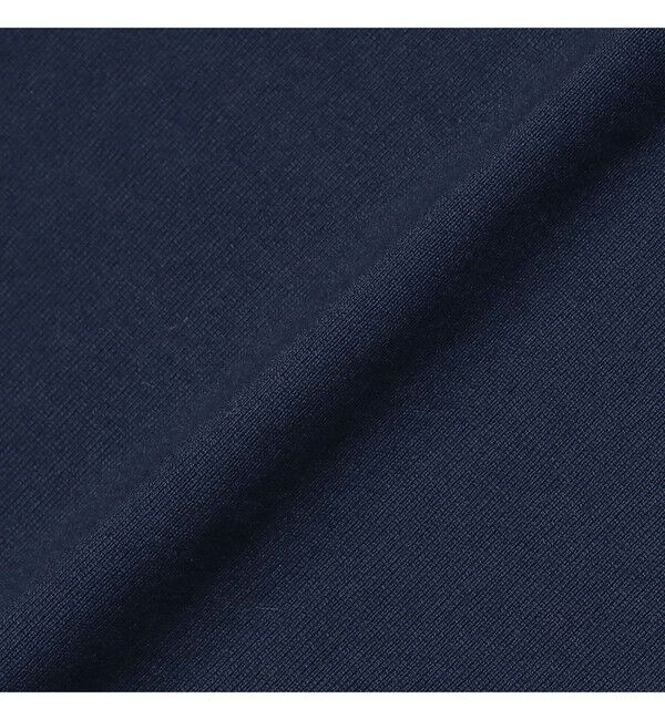 BEAMS「BEAMS｜【別注】LACOSTE / ロゴ Tシャツ｜50周年 別注アイテム｜ヘビー天竺素材｜バックプリント」|Tシャツ・カットソー|