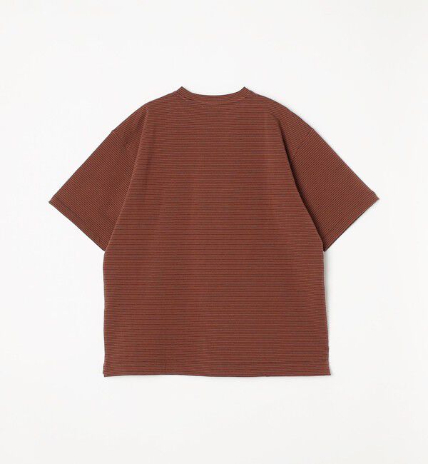 SHIPS any「SHIPS any: マイクロボーダー ミニ裏毛 ライト スウェット ライク Tシャツ◇」|Tシャツ・カットソー|