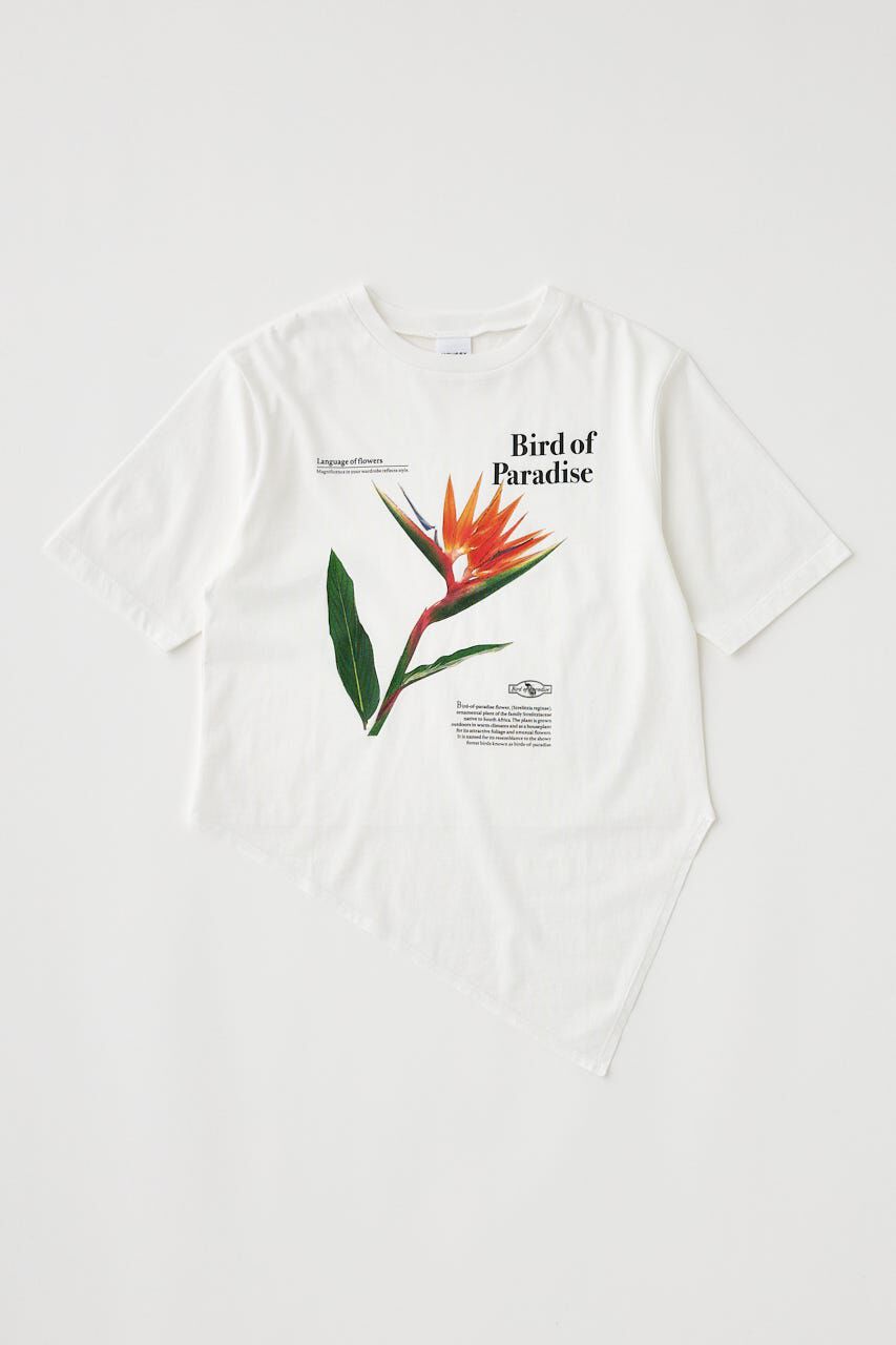MOUSSY「ASYMMETRY フラワー TEE」|Tシャツ・カットソー|