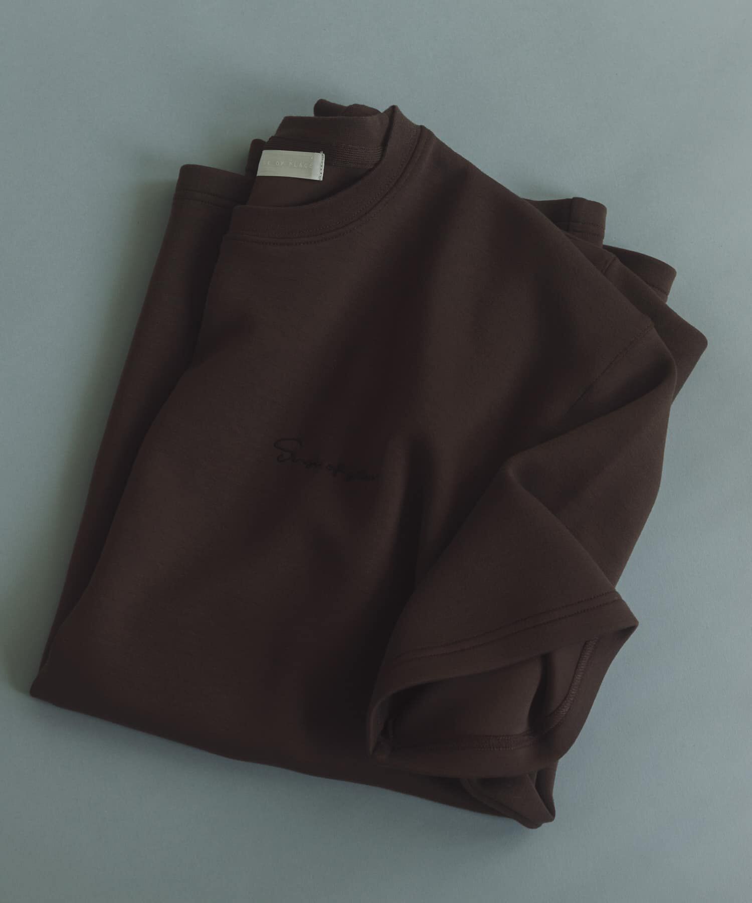 SENSE OF PLACE by URBAN RESEARCH「『一部WEB限定ｶﾗｰ』『接触冷感/速乾』ｼｼｭｳﾀﾞﾝﾎﾞｰﾙﾎﾟﾝﾁ」|Tシャツ・カットソー|ブラウン
