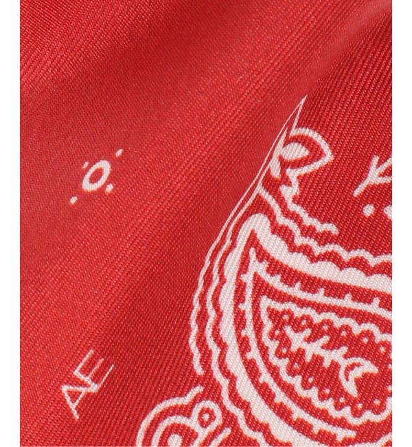 journal standard L'essage「【AENEIS/エネス】Minimal Illusion Silk Twill Bande：スカーフ」|バンダナ・スカーフ|
