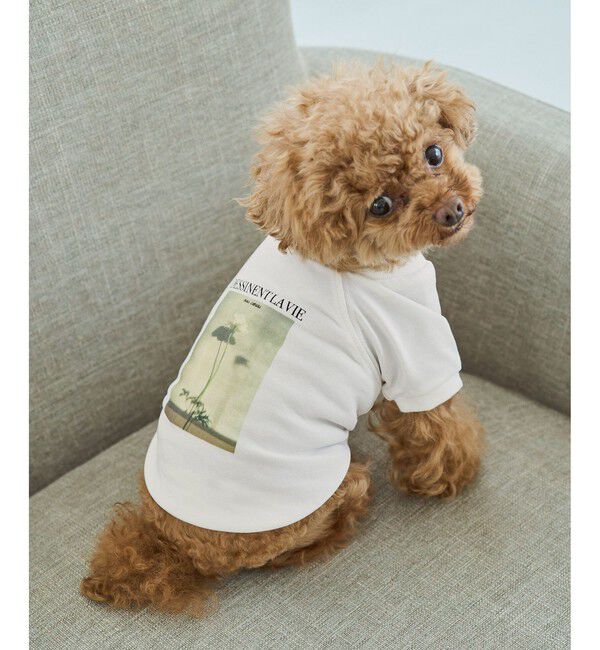 ROPE PICNIC PASSAGE「【DOG】RENU photo Tee/UVカット・接触冷感・リンクコーデ」|その他|