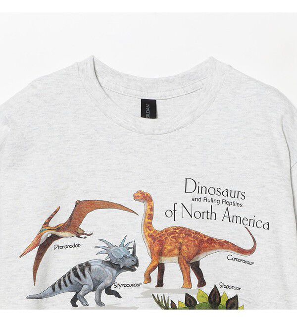 BEAMSBOY「【別注】Atlas Screen Printing / Dinosaur Tee」|Tシャツ・カットソー|