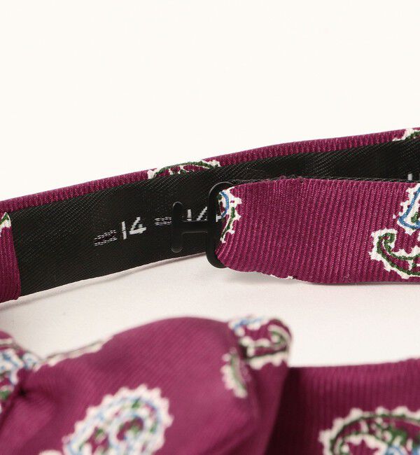 BEAMS PLUS「BEAMS PLUS / Silk Bow Tie Big Paisley Print」|ネクタイ・蝶ネクタイ|