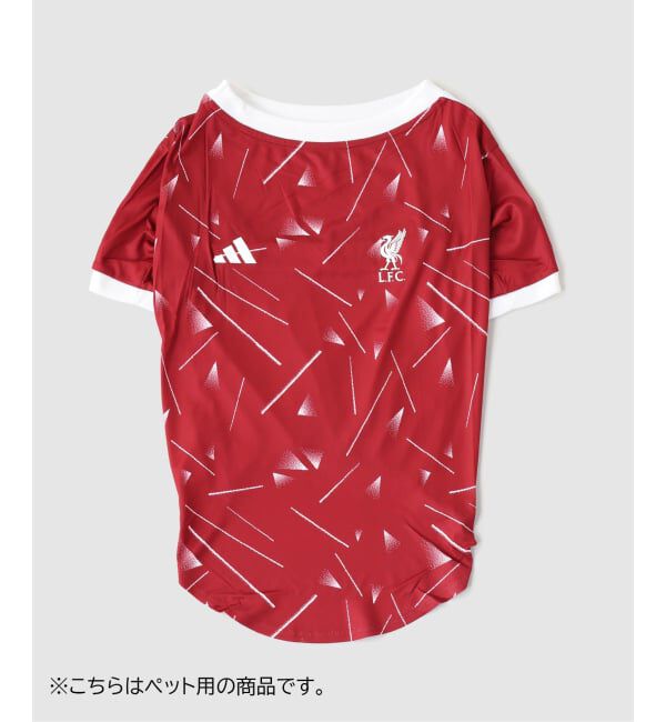Liverpool FC「【adidas / アディダス】Liverpool FC adidas SOCC PET JSY LFC」|その他|レッド