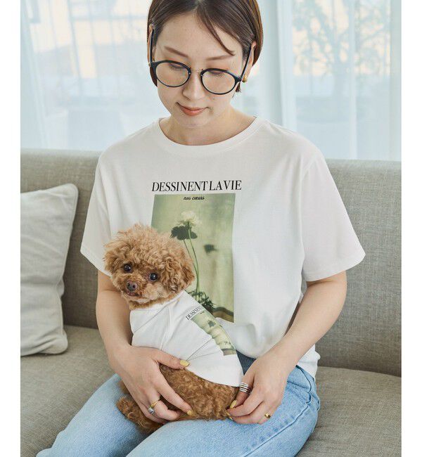Rope&rsquo;Picnic「RENUロゴ＆フォトアソートプリントTシャツ/UVカット・接触冷感・イージーケア」|Tシャツ・カットソー|