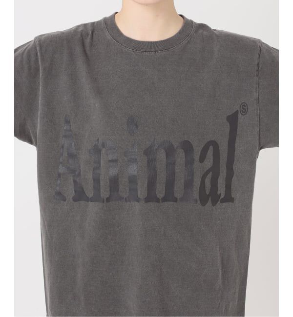 FRAMeWORK「≪新色 / 追加予約≫STUDIO ANIMALS 別注Animals Letter Tシャツ」|Tシャツ・カットソー|