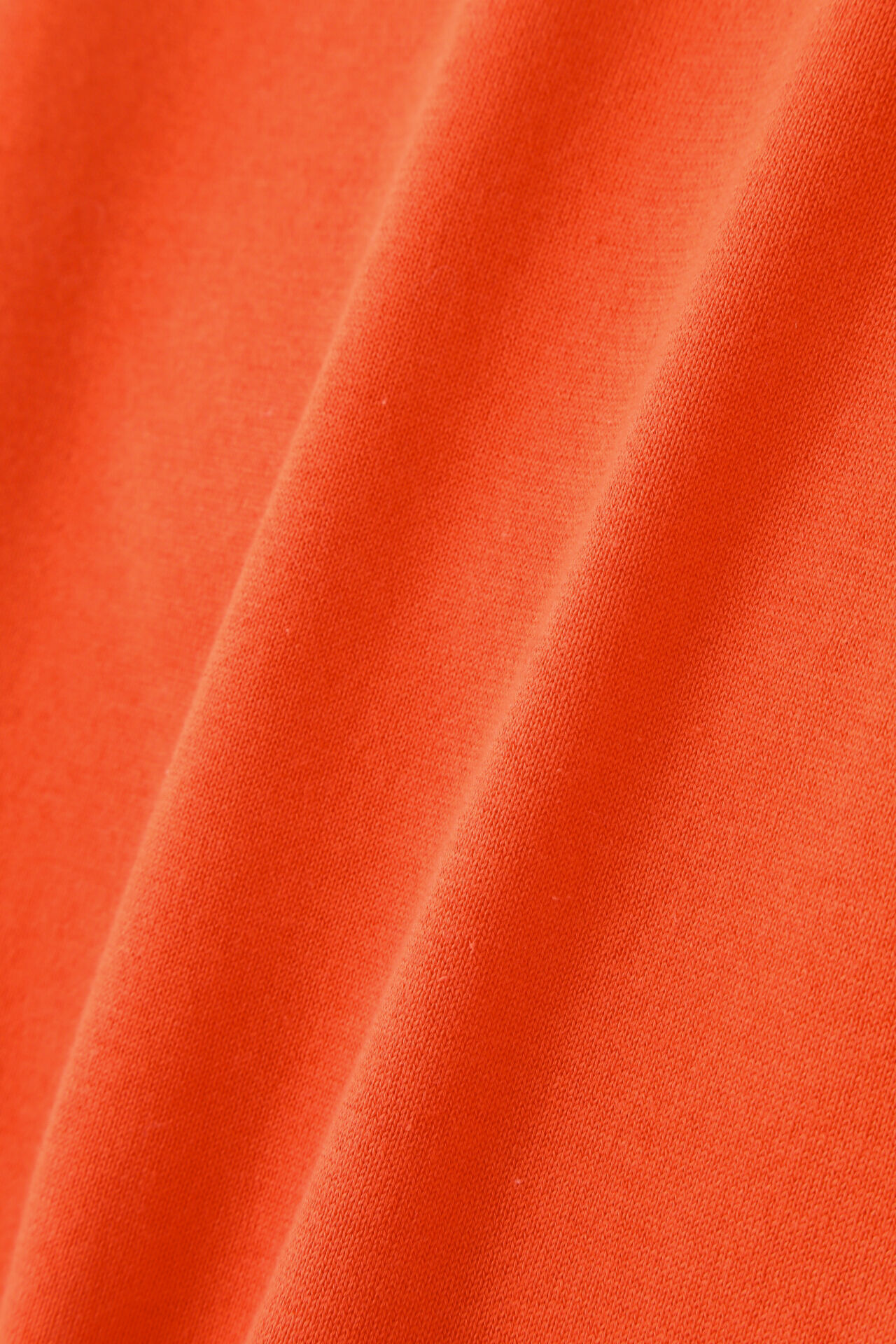 YLEVE 「YLEVE / ELS GIZA COTTON KN P/O」|ニット・セーター|