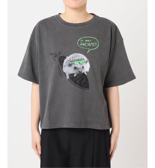 OUTDOOR PRODUCTS Usual Things「≪予約≫仙台店＆WEB限定 ピグメントカットオフ ZOO TEE」|Tシャツ・カットソー|