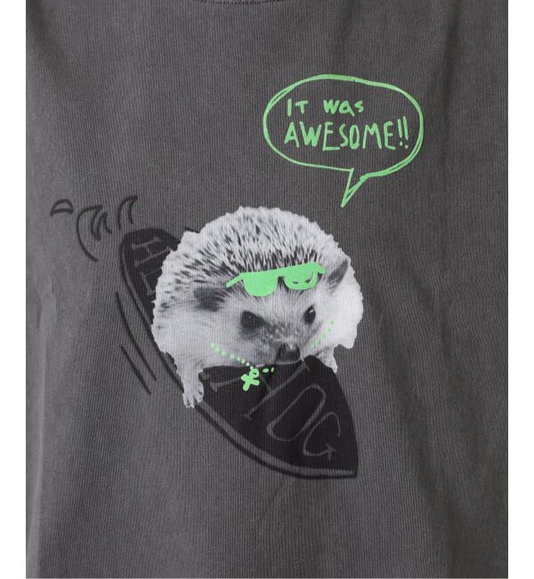 OUTDOOR PRODUCTS Usual Things「≪予約≫仙台店＆WEB限定 ピグメントカットオフ ZOO TEE」|Tシャツ・カットソー|