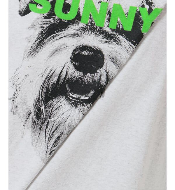 OUTDOOR PRODUCTS Usual Things「≪予約≫追加4 ピグメントカットオフZOO TEE」|Tシャツ・カットソー|