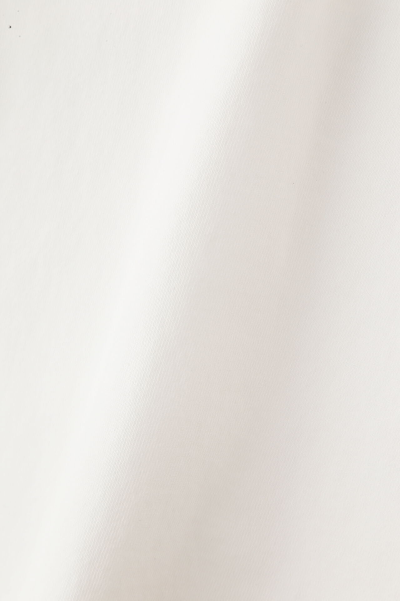 YLEVE 「Ｙ / ORGANIC COTTON BLEND HEAVY WEIGHT FLEECE CREW NECK」|Tシャツ・カットソー|