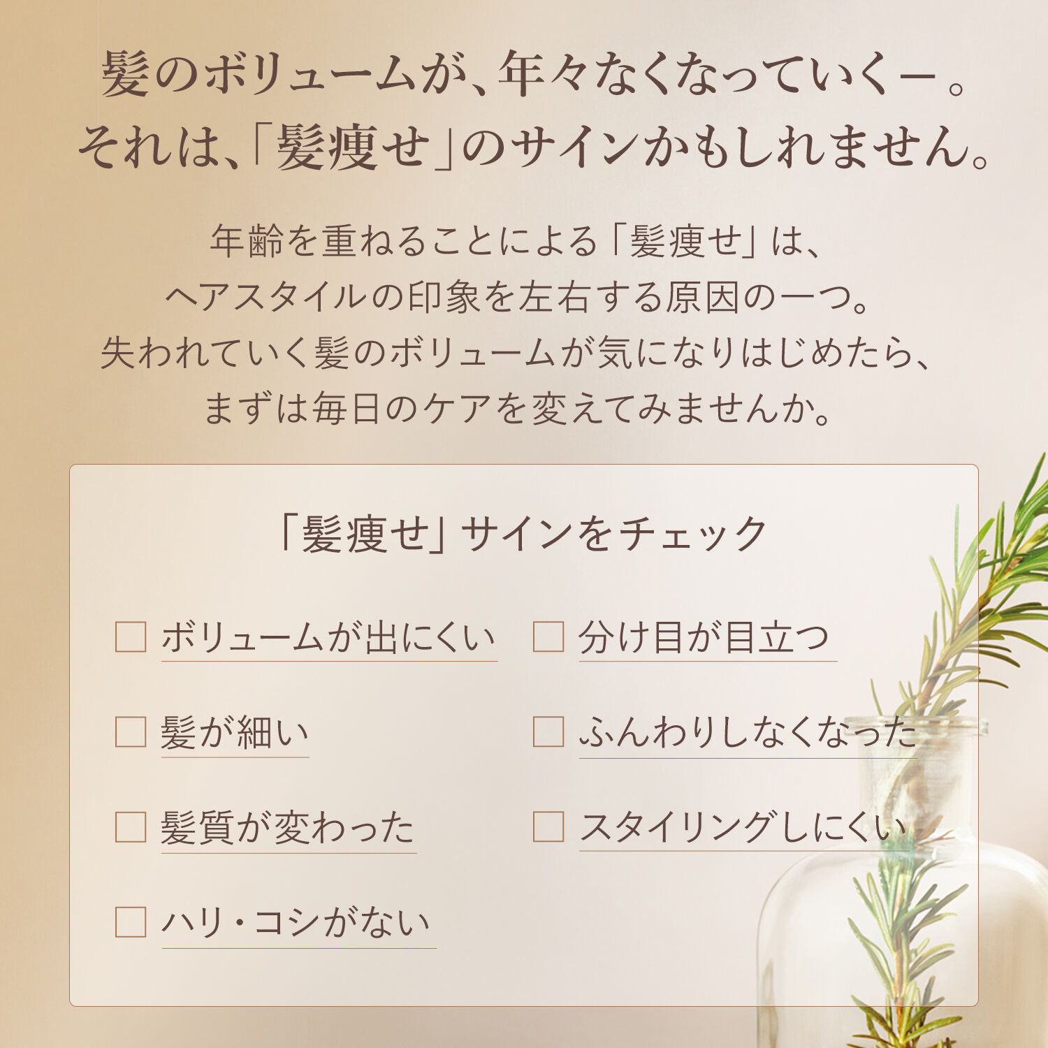 L&rsquo;OCCITANE「ボリューム＆ストレングス シャンプー500ML」|シャンプー|